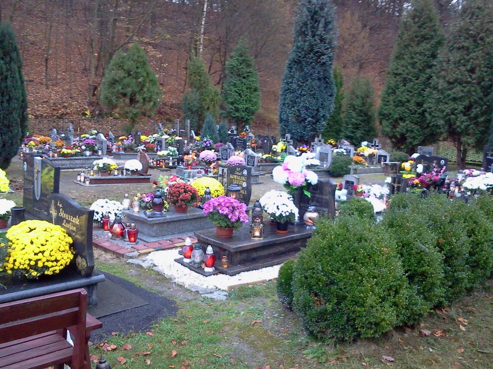 Friedhof