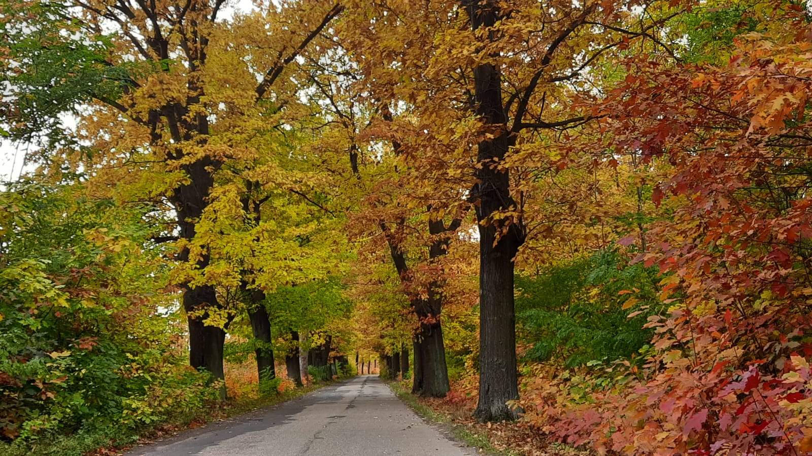 Herbstlandschaft